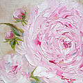 Peony