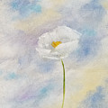 Ethereal Aspirations